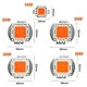 Fabrikgroßhandel wachsen Cob-LED-Vollspektrum-Cob-LED 10W
